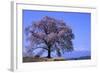 Wanizuka Cherry, Yamanashi Prefecture, Japan. Japan Alps-Bill Tingey-Framed Photographic Print