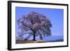 Wanizuka Cherry, Yamanashi Prefecture, Japan. Japan Alps-Bill Tingey-Framed Photographic Print