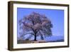Wanizuka Cherry, Yamanashi Prefecture, Japan. Japan Alps-Bill Tingey-Framed Photographic Print