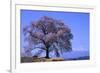 Wanizuka Cherry, Yamanashi Prefecture, Japan. Japan Alps-Bill Tingey-Framed Photographic Print