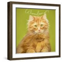 Wanna Love Me Cat-Cora Niele-Framed Giclee Print