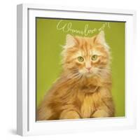 Wanna Love Me Cat-Cora Niele-Framed Giclee Print