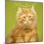 Wanna Love Me Cat-Cora Niele-Mounted Giclee Print