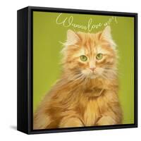 Wanna Love Me Cat-Cora Niele-Framed Stretched Canvas