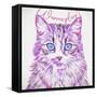 Wanna Play Cat-Cora Niele-Framed Stretched Canvas