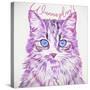 Wanna Play Cat-Cora Niele-Stretched Canvas