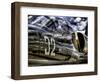 Wanna Take a Ride?-Stephen Arens-Framed Photographic Print