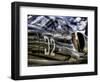 Wanna Take a Ride?-Stephen Arens-Framed Photographic Print