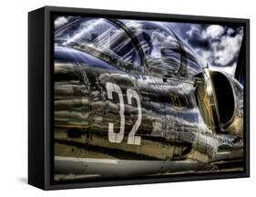 Wanna Take a Ride?-Stephen Arens-Framed Stretched Canvas