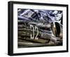 Wanna Take a Ride?-Stephen Arens-Framed Premium Photographic Print