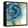 Wannabe Poppies III-Chris Paschke-Framed Stretched Canvas