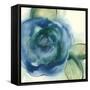 Wannabe Poppies VI-Chris Paschke-Framed Stretched Canvas