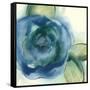 Wannabe Poppies VI-Chris Paschke-Framed Stretched Canvas