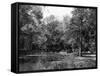 Wanstead Park Woods-null-Framed Stretched Canvas