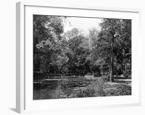 Wanstead Park Woods-null-Framed Photographic Print