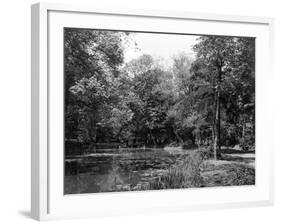 Wanstead Park Woods-null-Framed Photographic Print