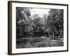 Wanstead Park Woods-null-Framed Photographic Print