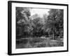 Wanstead Park Woods-null-Framed Photographic Print