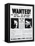 Wanted! for Murder, for Kidnapping, for Theft and for Arson-null-Framed Stretched Canvas