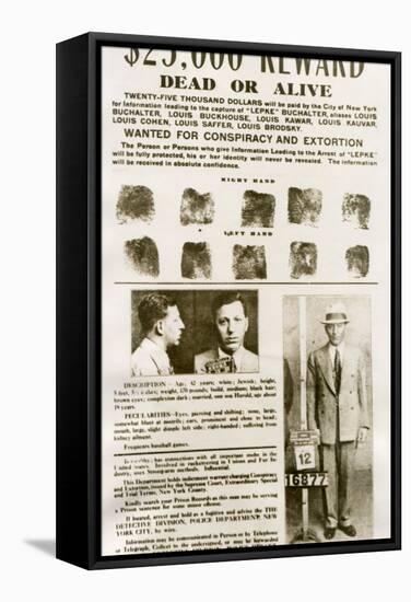 Wanted Poster with Mugshots Louis 'Lepke' Buchalter, Jewish American Gangster-null-Framed Stretched Canvas