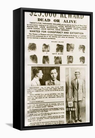 Wanted Poster with Mugshots Louis 'Lepke' Buchalter, Jewish American Gangster-null-Framed Stretched Canvas