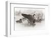 Wapiti, Wyoming. Usa. Artistic Shot of Canadian Geese in the Mist-Janet Muir-Framed Photographic Print