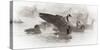 Wapiti, Wyoming. USA. Artistic shot of Canadian Geese in the mist.-Janet Muir-Stretched Canvas