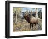 Wapiti-Jeff Tift-Framed Giclee Print