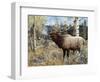 Wapiti-Jeff Tift-Framed Giclee Print