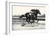 War Admiral; An Old Man's Son-C.W. Anderson-Framed Art Print