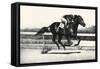 War Admiral; An Old Man's Son-C.W. Anderson-Framed Stretched Canvas