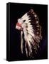 War bonnet of eagle tail feathers, each feather signifying a specific war honour-Werner Forman-Framed Stretched Canvas