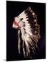 War bonnet of eagle tail feathers, each feather signifying a specific war honour-Werner Forman-Mounted Giclee Print