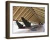 War Canoe (Ngatokimatawhaorua in Maori Language), 35M Long, 80 Rowers, Waitangi National Reserve-Jeremy Bright-Framed Photographic Print