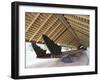 War Canoe (Ngatokimatawhaorua in Maori Language), 35M Long, 80 Rowers, Waitangi National Reserve-Jeremy Bright-Framed Photographic Print