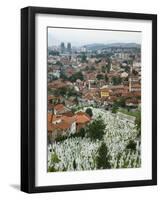 War Cemetery, Sarajevo, Bosnia, Bosnia-Herzegovina-Graham Lawrence-Framed Photographic Print