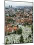 War Cemetery, Sarajevo, Bosnia, Bosnia-Herzegovina-Graham Lawrence-Mounted Photographic Print