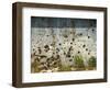 War Damaged Building, Sarajevo, Bosnia, Bosnia-Herzegovina-Graham Lawrence-Framed Photographic Print