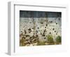 War Damaged Building, Sarajevo, Bosnia, Bosnia-Herzegovina-Graham Lawrence-Framed Photographic Print