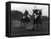 War Department Polo Association Game Photograph - Washington, DC-Lantern Press-Framed Stretched Canvas