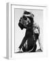 War Dog Poses Wearing Overseas Cap-Bettmann-Framed Photographic Print