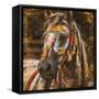 War Horse No. 1-Marta Wiley-Framed Stretched Canvas