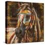 War Horse No. 1-Marta Wiley-Stretched Canvas