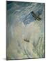 War in the Air, 1918-Christopher Richard Wynne Nevinson-Mounted Giclee Print