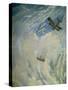 War in the Air, 1918-Christopher Richard Wynne Nevinson-Stretched Canvas