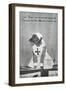 War Memorial Fund - Dog-null-Framed Art Print