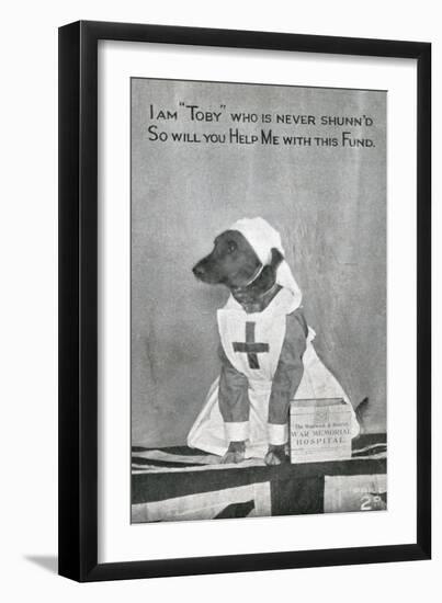 War Memorial Fund - Dog-null-Framed Art Print