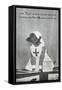 War Memorial Fund - Dog-null-Framed Stretched Canvas
