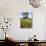 War Memorial on the Clifftop Above Stonehaven, Aberdeenshire, Scotland, United Kingdom, Europe-Mark Sunderland-Photographic Print displayed on a wall