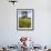 War Memorial on the Clifftop Above Stonehaven, Aberdeenshire, Scotland, United Kingdom, Europe-Mark Sunderland-Framed Photographic Print displayed on a wall